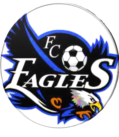 FC BlackEagles - Playstation - Virtual Pro League