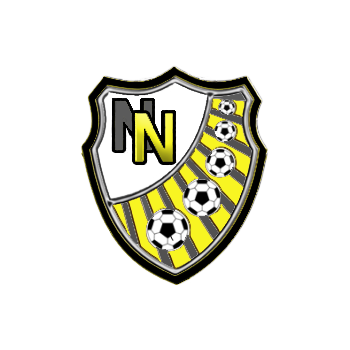 NO NEIM - Playstation - Virtual Pro League