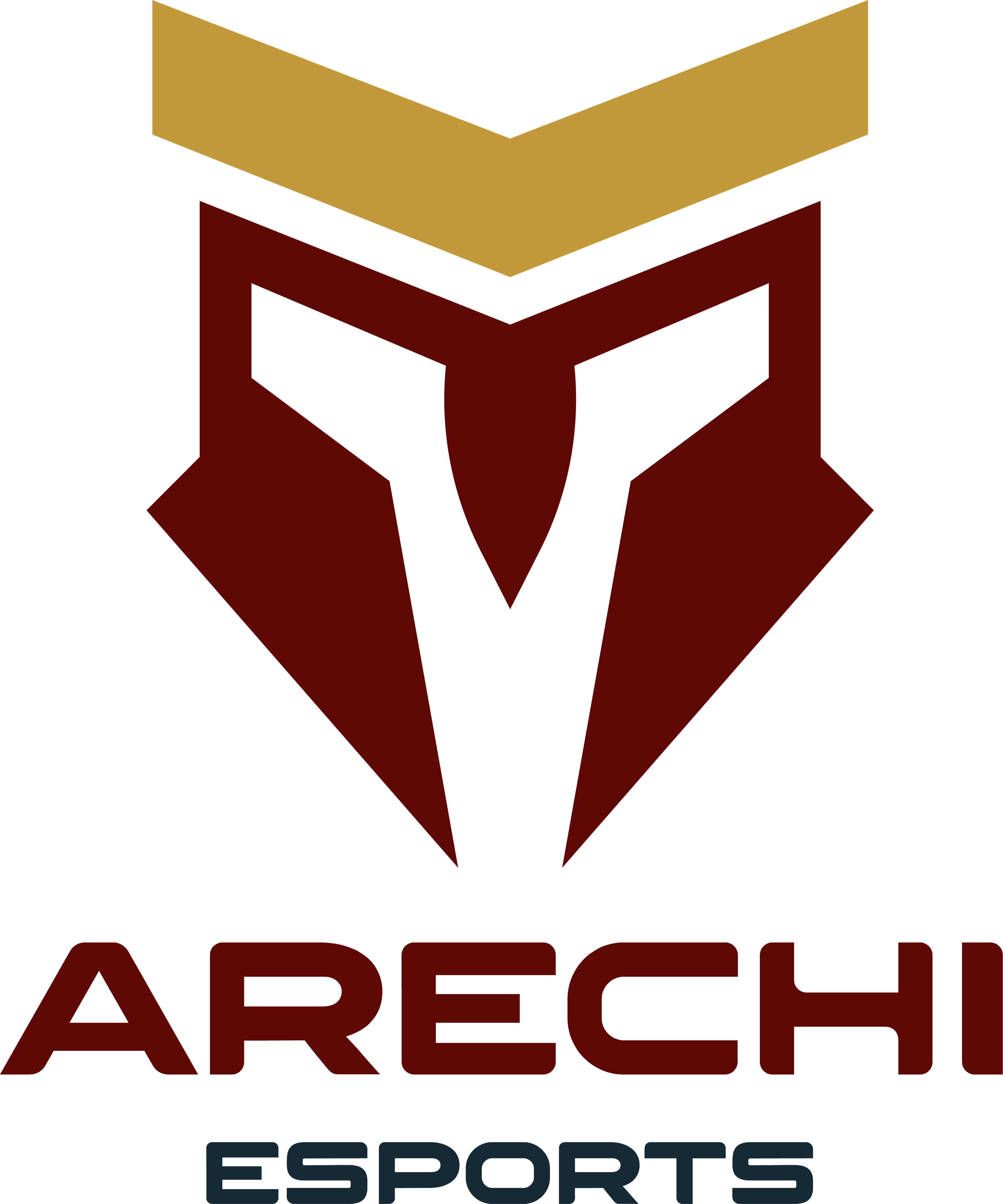 Arechi Esports - Playstation - Virtual Pro League