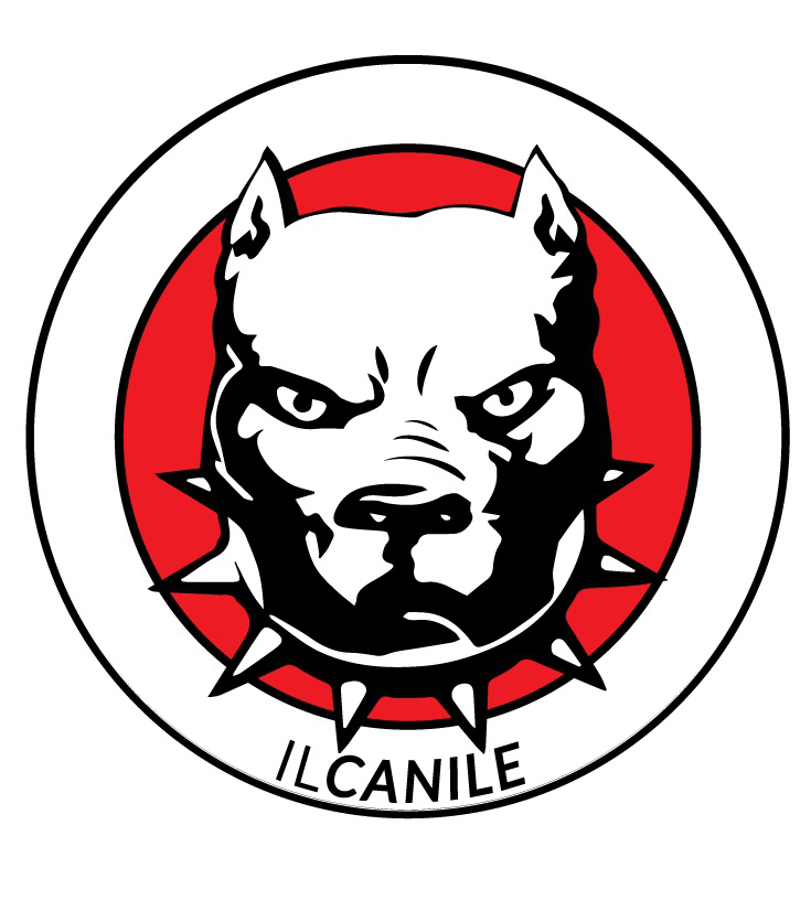 FC CANILE ESPORTS - Playstation - Virtual Pro League