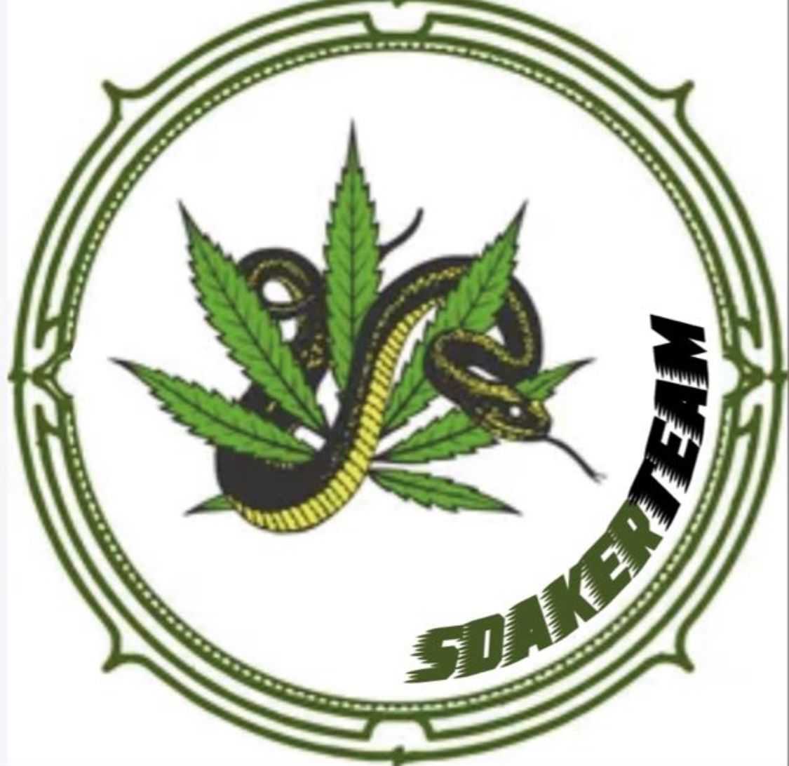 SdakerTeam - Playstation - Virtual Pro League