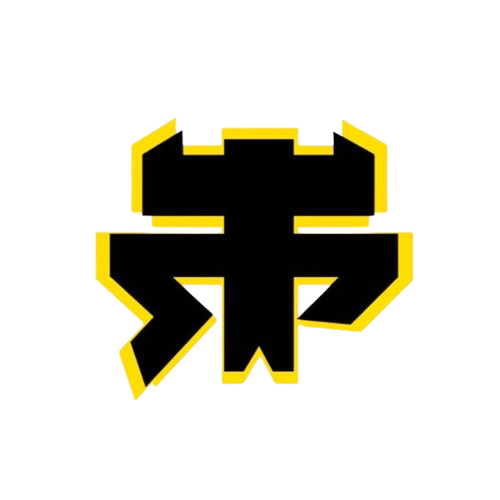 Rpt eSport - PC - Virtual Pro League