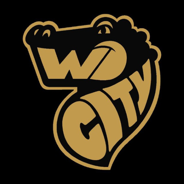 Wenelize City - Playstation - Virtual Pro League