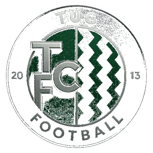 TUG Football - Playstation - Virtual Pro League