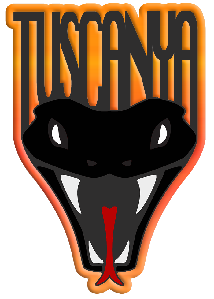 TUSCANYA FC - Xbox - Virtual Pro League