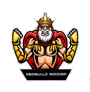 RedBullz Soccer - Xbox - Virtual Pro League