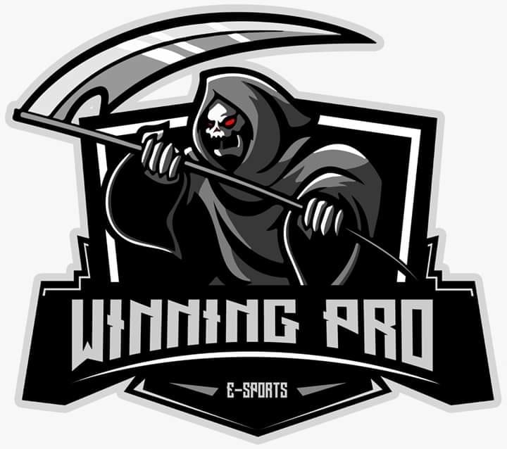 WINNING PRO E-SPORTS