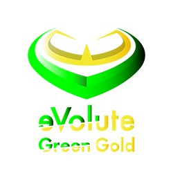 eVolute Green Gold-RIT - Playstation - Virtual Pro League