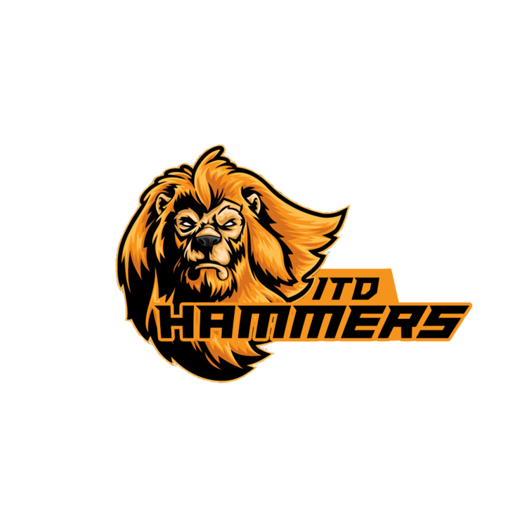 HAMMERS ITD - Playstation - Virtual Pro League