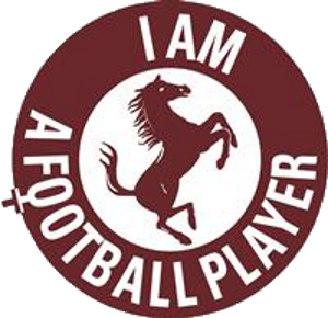 AREZZO - Playstation - Virtual Pro League