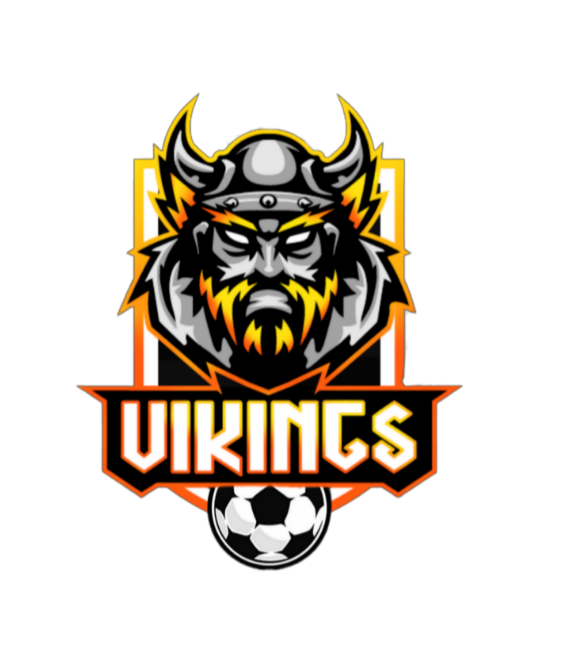Vikings F.C - Playstation - Virtual Pro League