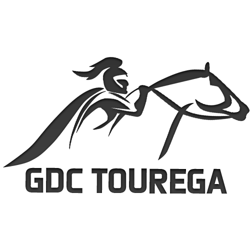 GD TOUREGA - Playstation - Virtual Pro League