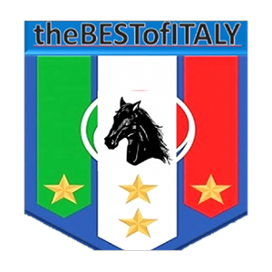 THEBESTOFITALYF - Playstation - Virtual Pro League