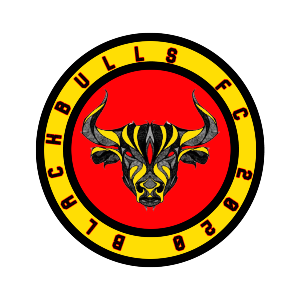 BlackBulls  FC - Playstation - Virtual Pro League