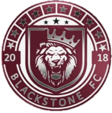 Blackstone - Playstation - Virtual Pro League