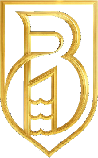 B O L L I T I - Playstation - Virtual Pro League