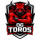 OG TOROS MX