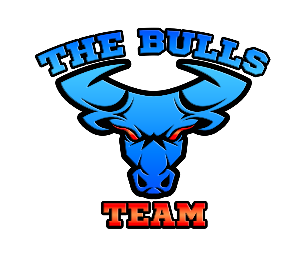 The Bulls Team