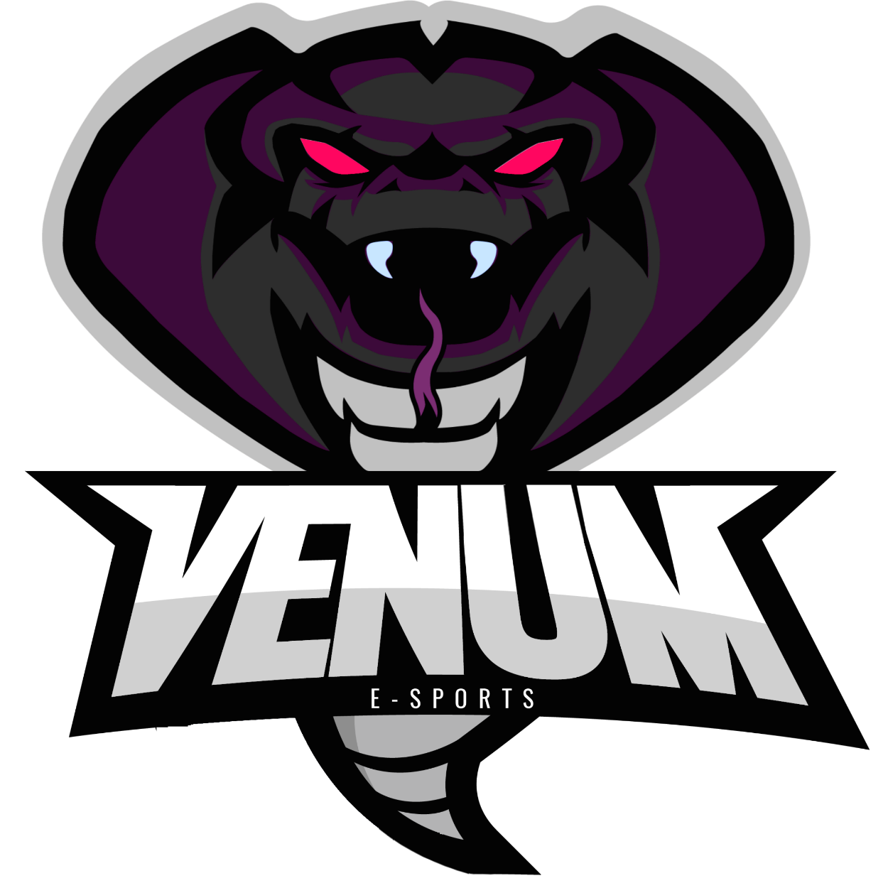 Venum e-Sports BS