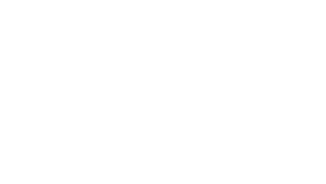 Levisport